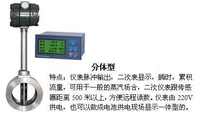 1寸壓縮空氣流量計分體型產(chǎn)品圖